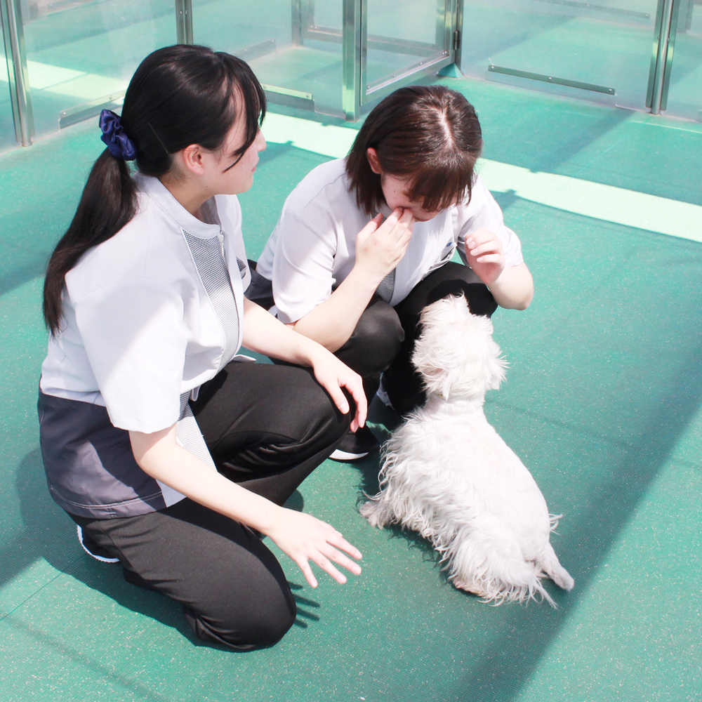 Wan活でお散歩♪